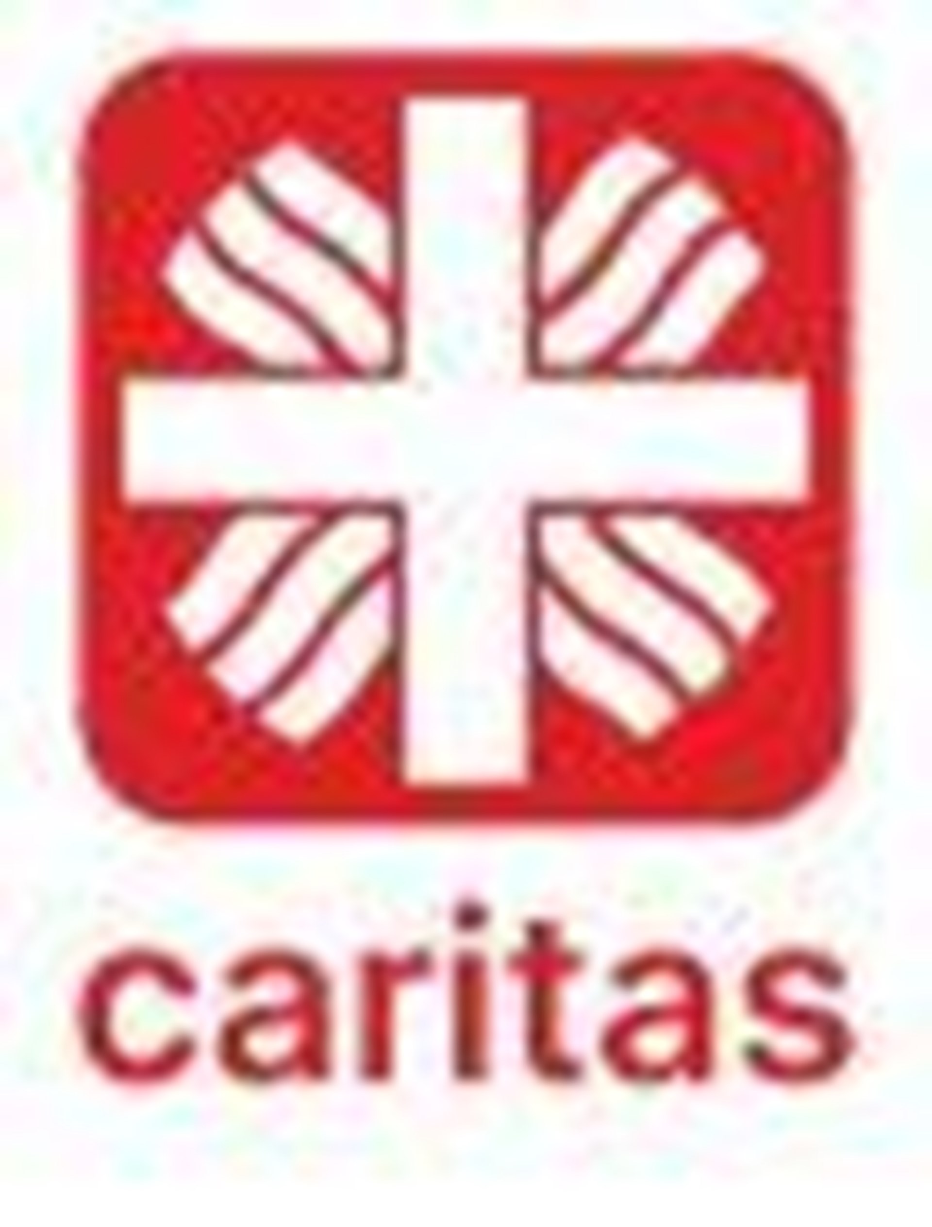 Caritas Logo 100 px hoch